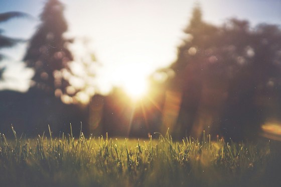 Zon