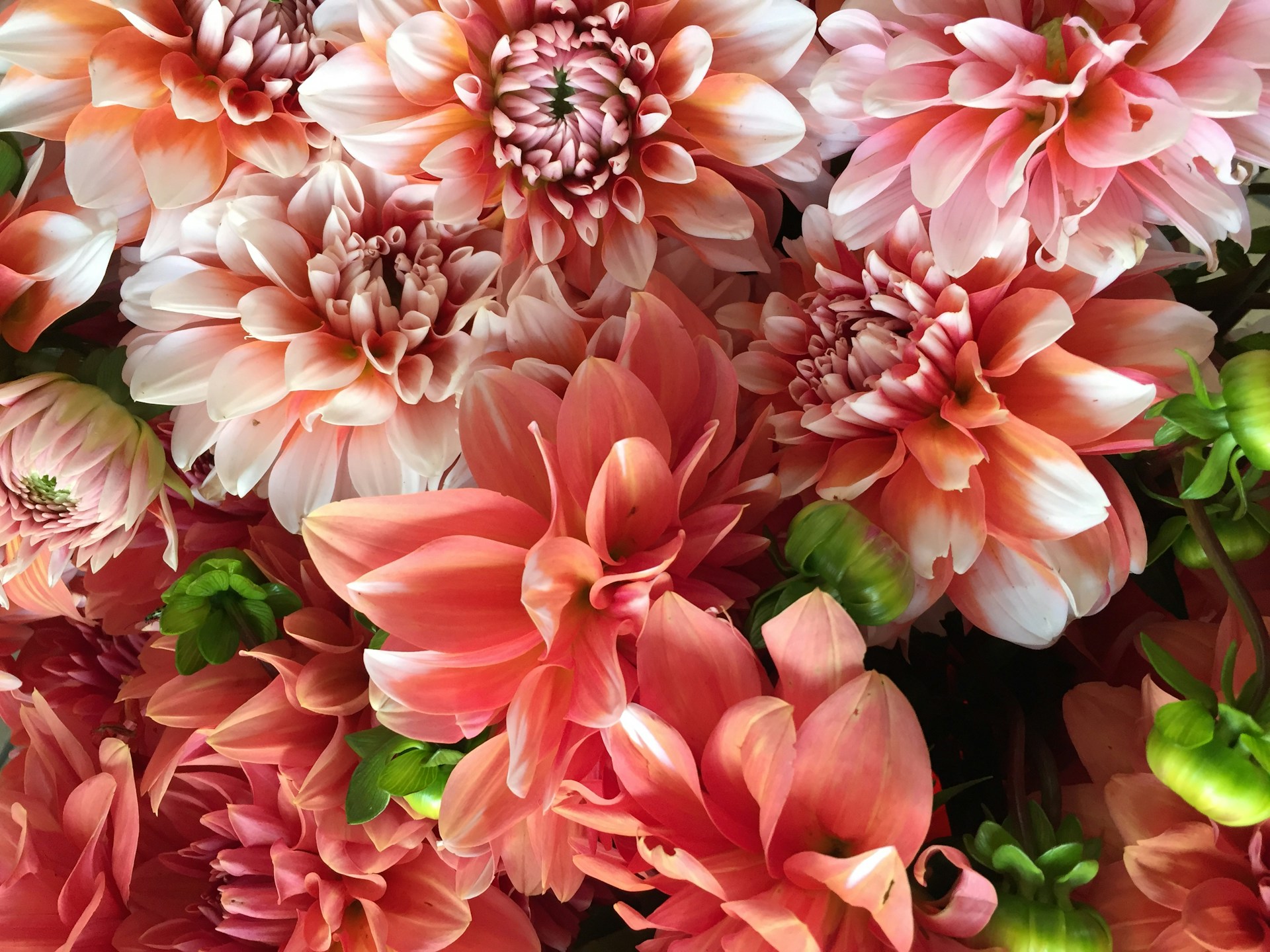 Bloemen bezorgen in Amsterdam